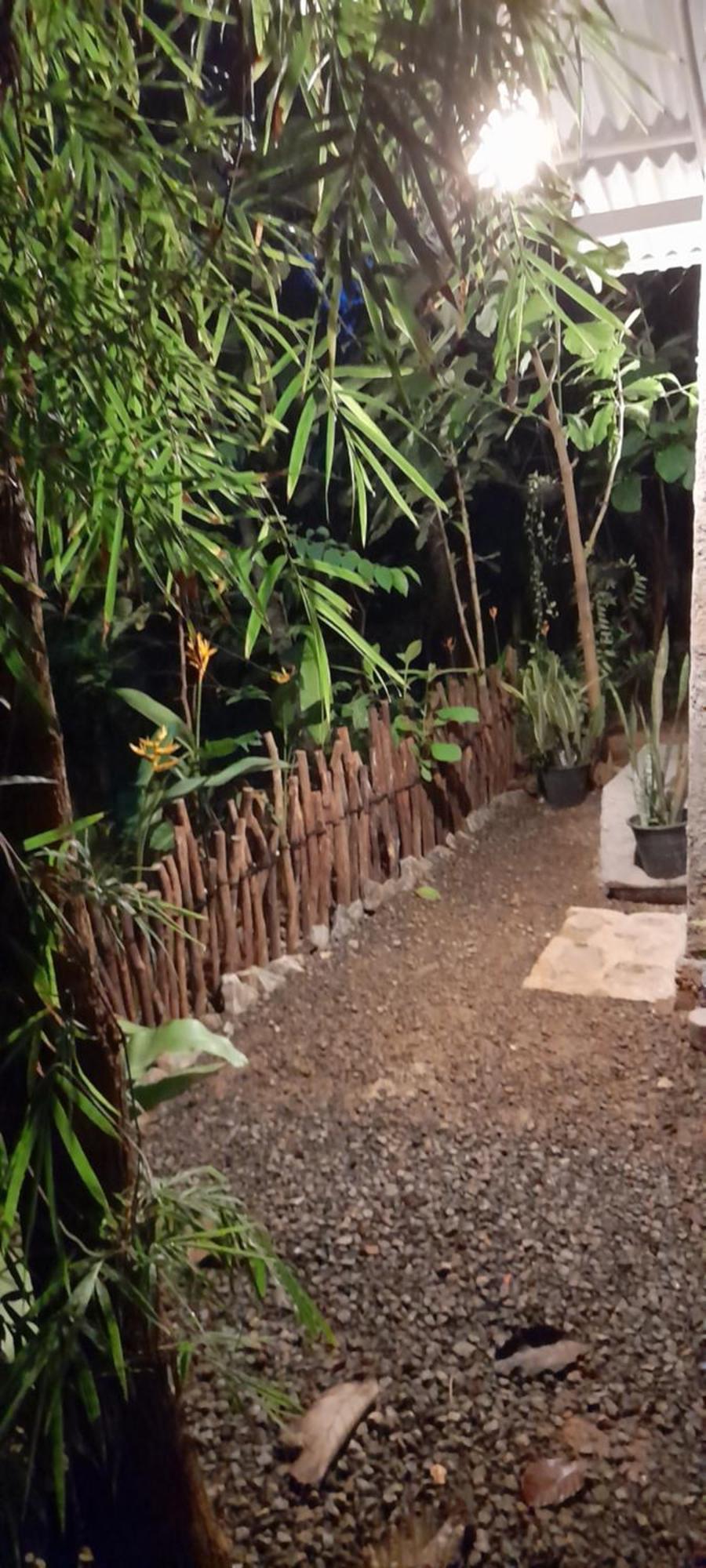 Linu Homestay 디크웰라 외부 사진