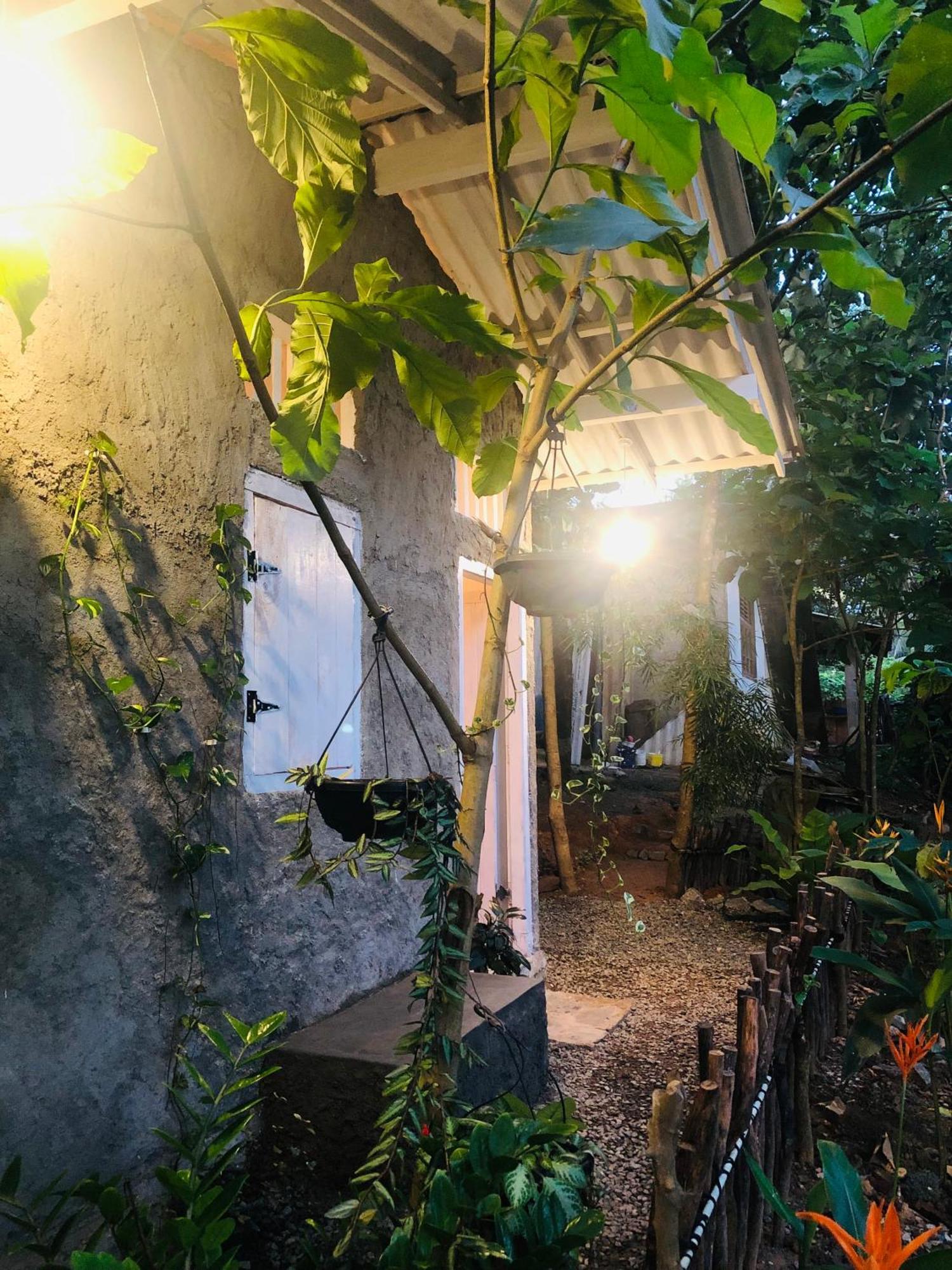 Linu Homestay 디크웰라 외부 사진
