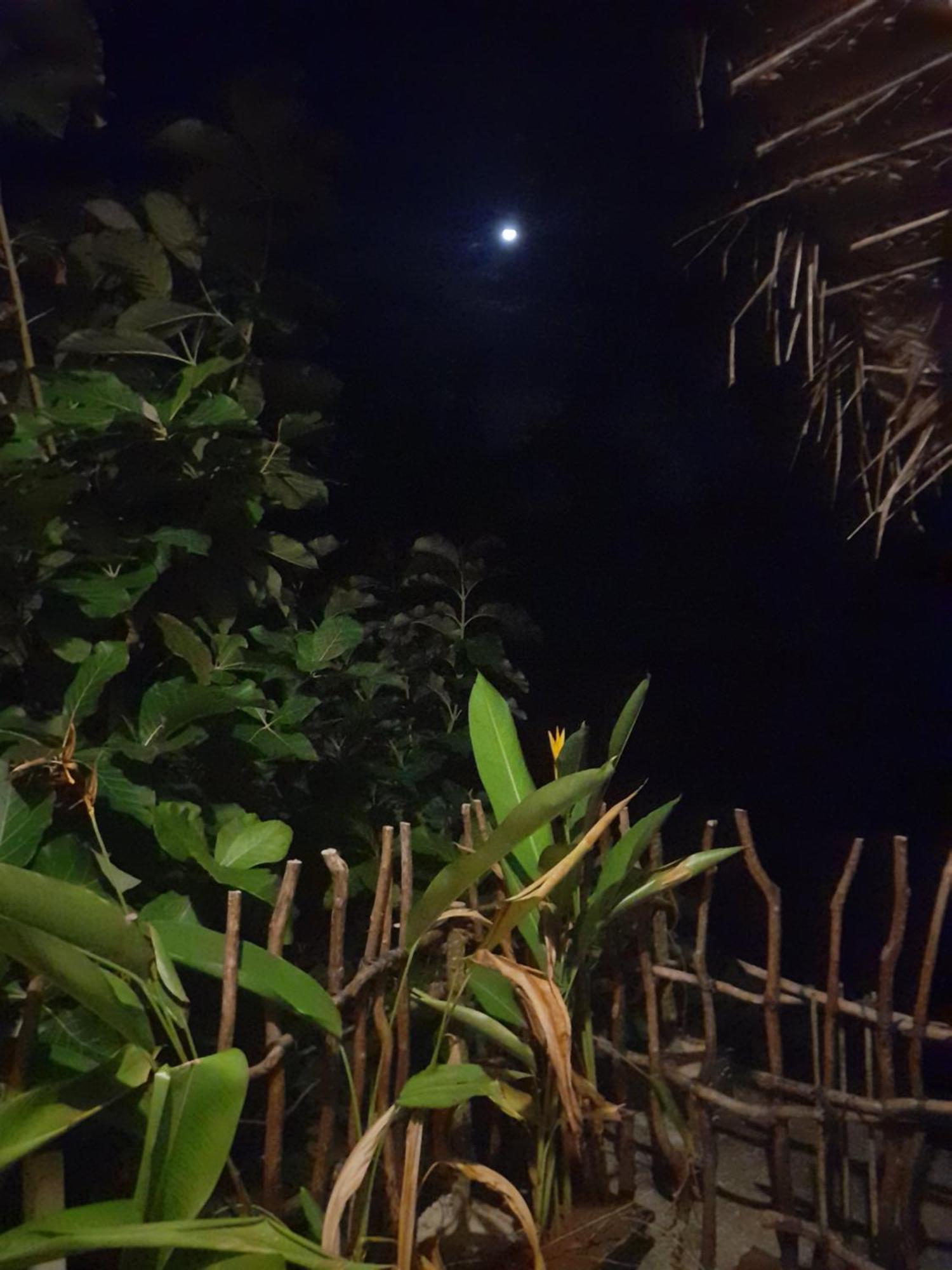 Linu Homestay 디크웰라 객실 사진